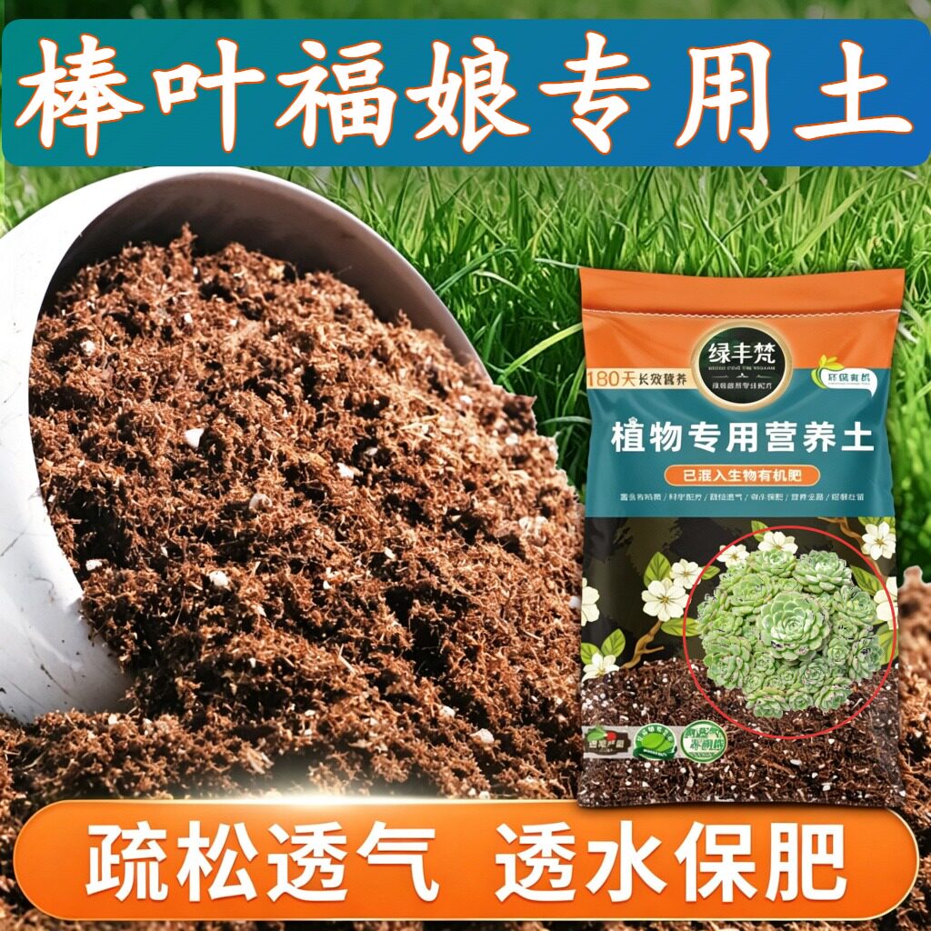 棒叶福娘适用花泥利于发根家用种植土细腻均匀改善板结大包装观叶