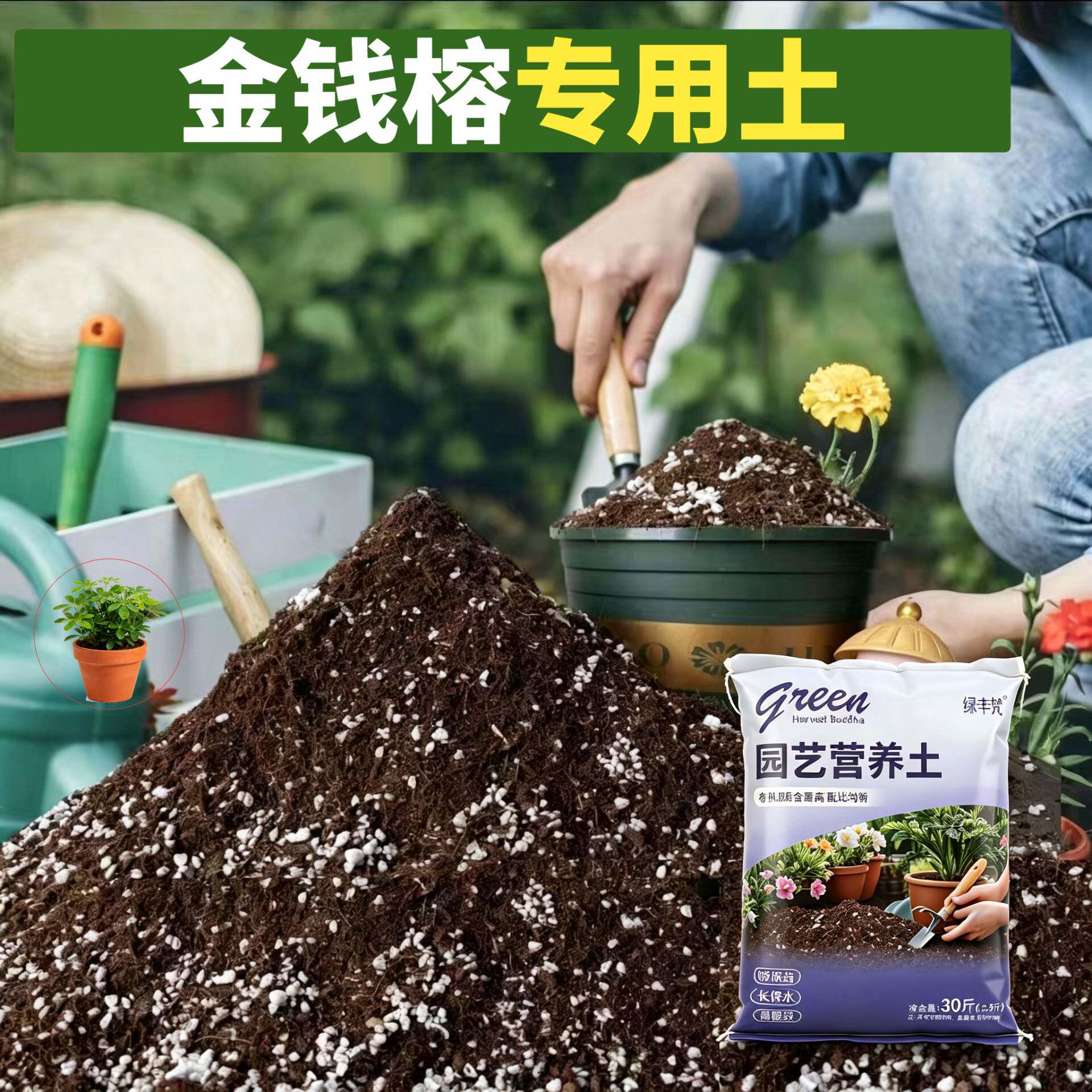 金钱榕适用腐叶土防烂根腐殖泥炭土盆栽泥炭基质无菌增色观花花园