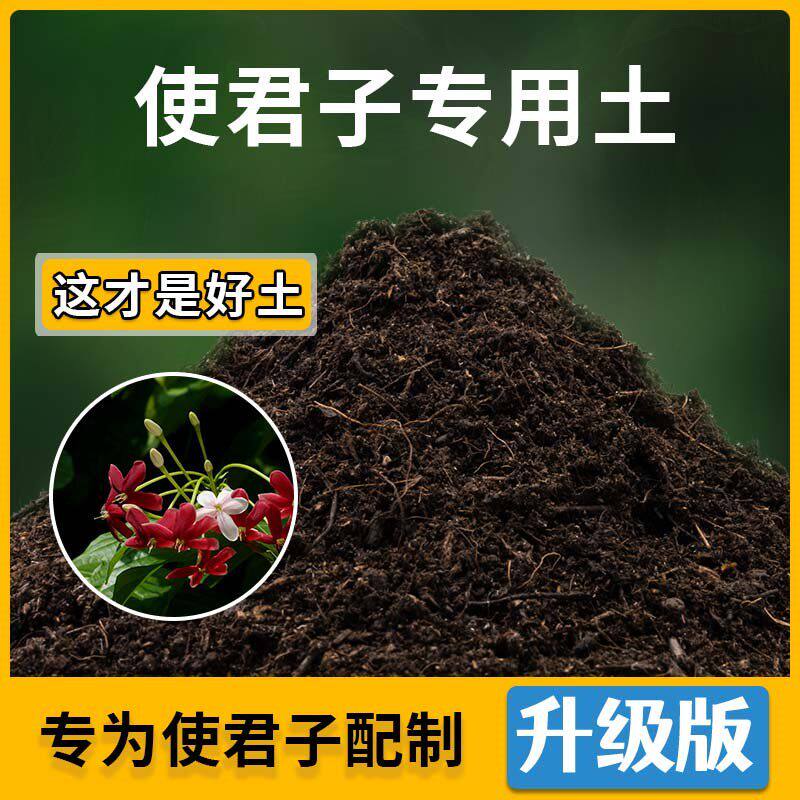 使君子专用土使君子营养土家用种植土壤家庭盆栽种花养花有机土