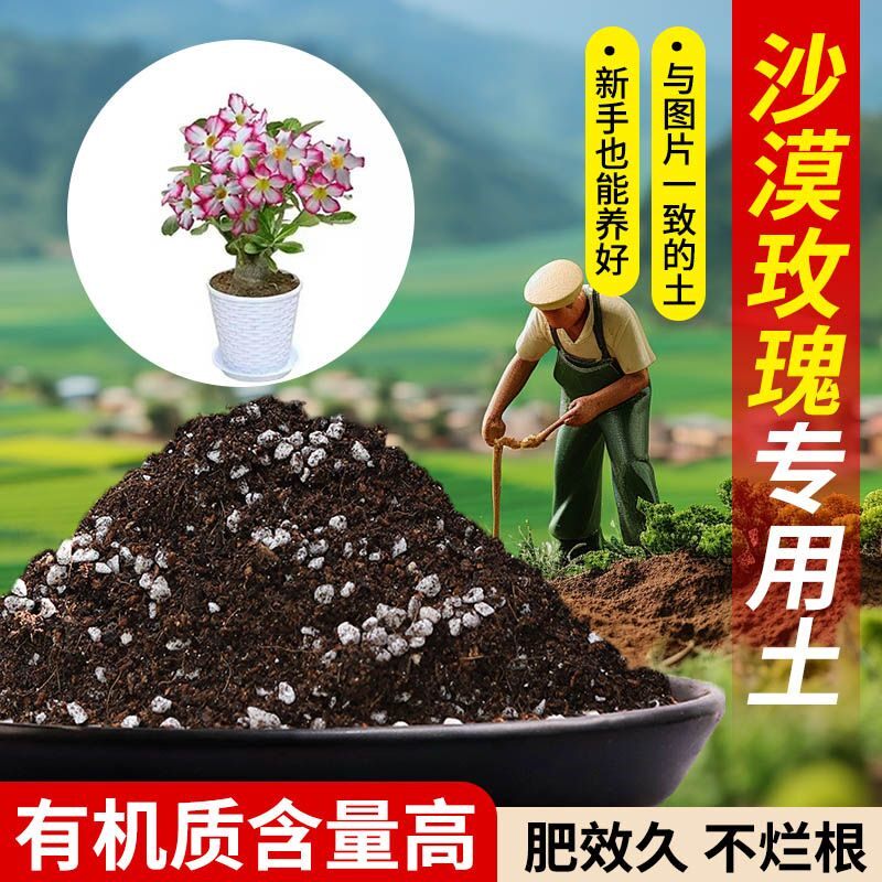 沙漠玫瑰营养土专用土透气疏松含泥炭肥料通用有机种植土轻质土壤