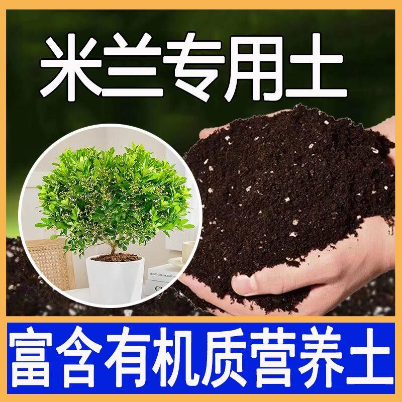 米兰花专用土绿植盆栽营养土弱酸性种植土家用室内鲜花泥土米兰土