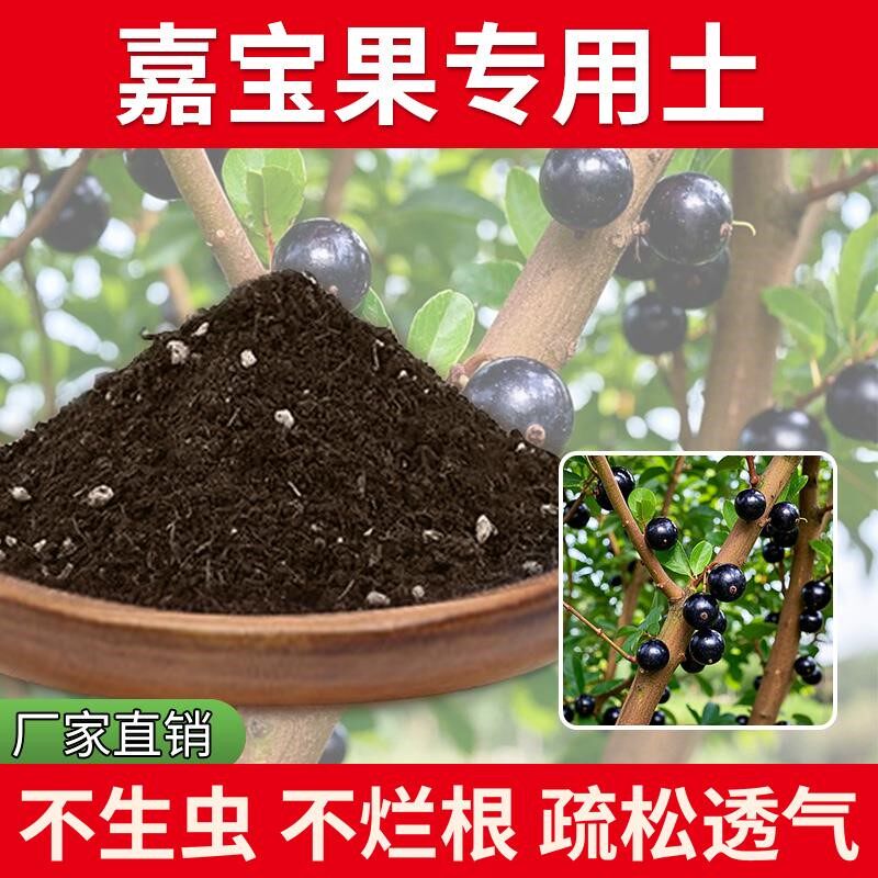 嘉宝果专用土家用绿植有机通用有机肥盆景专用土透气家庭农业果苗