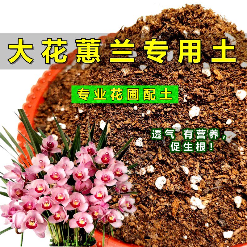 大花蕙兰专用土兰花花苗通用型营养土虎头兰家用种植土偏酸性土壤