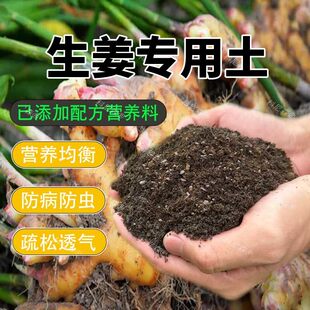 生姜专用土种菜专用营养土通用型生姜蔬菜土阳台盆栽有机种植泥土