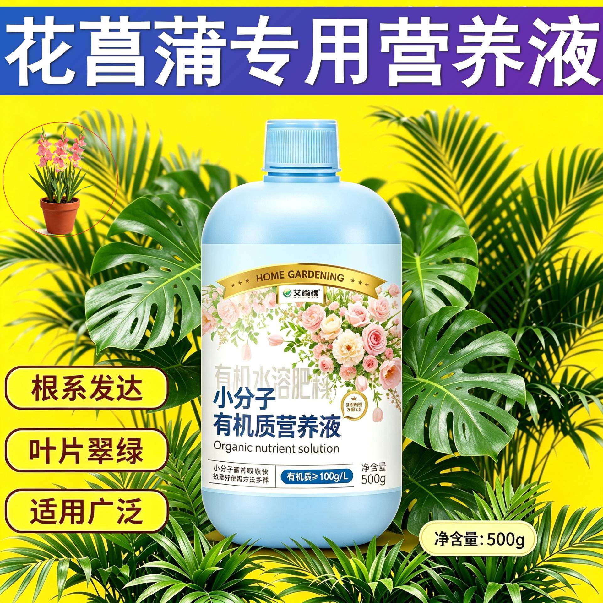 花菖蒲专用小分子营养液小分子有机质水溶肥浓缩高效园艺盆栽适用