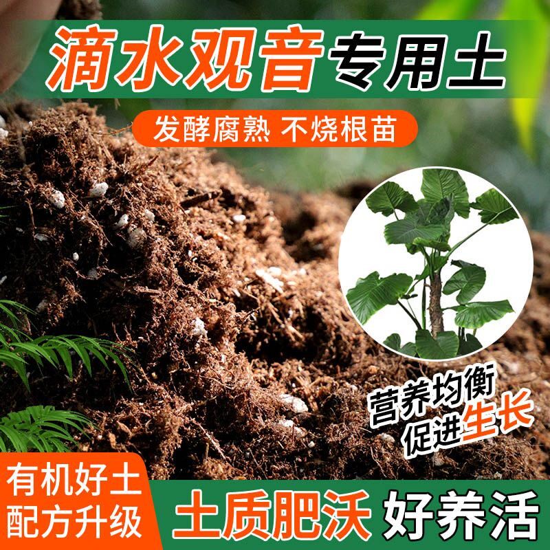 滴水观音专用土种植士营养土家庭阳台养花盆栽绿植轻质有机肥料土