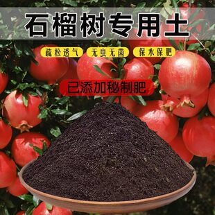 石榴树专用土种石榴树专用营养土育苗土栽培土果苗土种树土有机土
