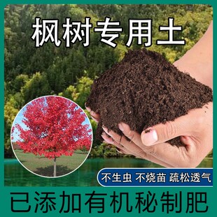 枫树盆栽专用土透气酸性羽毛枫流泉枫营养土颗粒肥料通用家用室内
