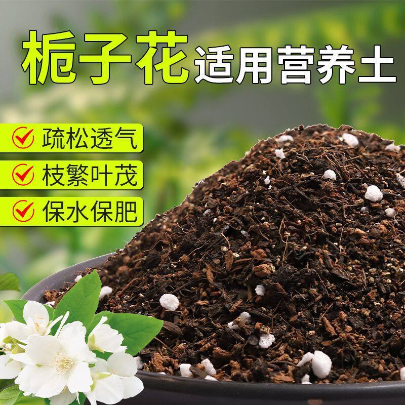 【栀子花专用土】疏松透气盆栽绿植专用室内植物有机营养土肥料