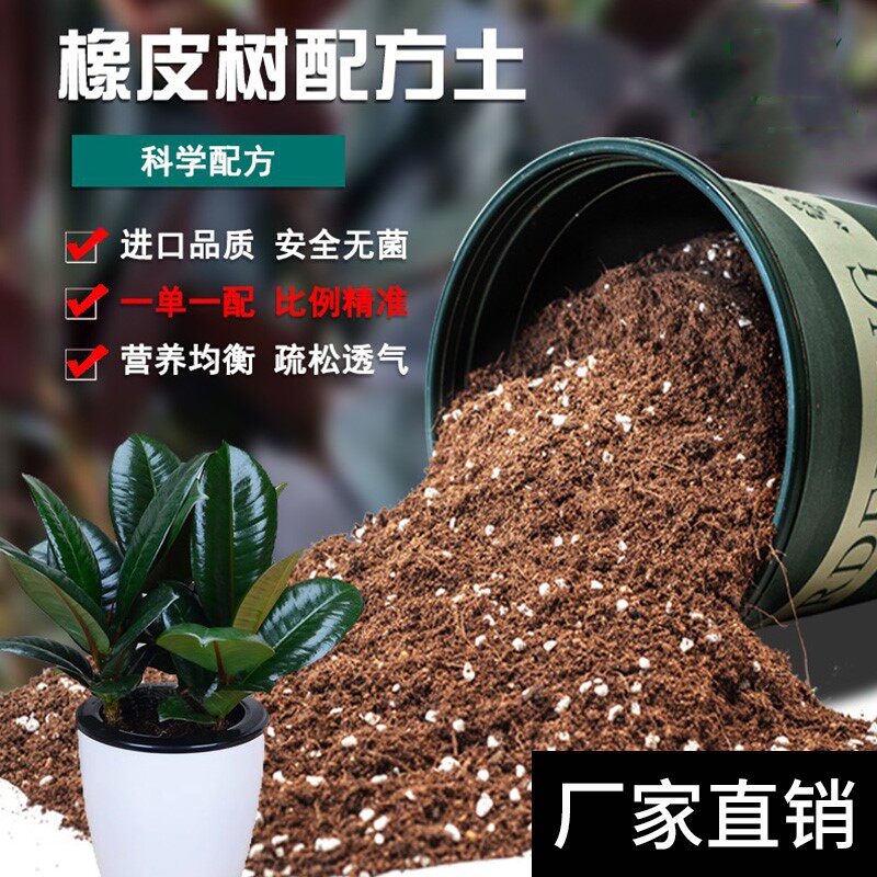 橡皮树专用土黑金刚土壤营养土盆栽养花种花土通用种植土有机疏松