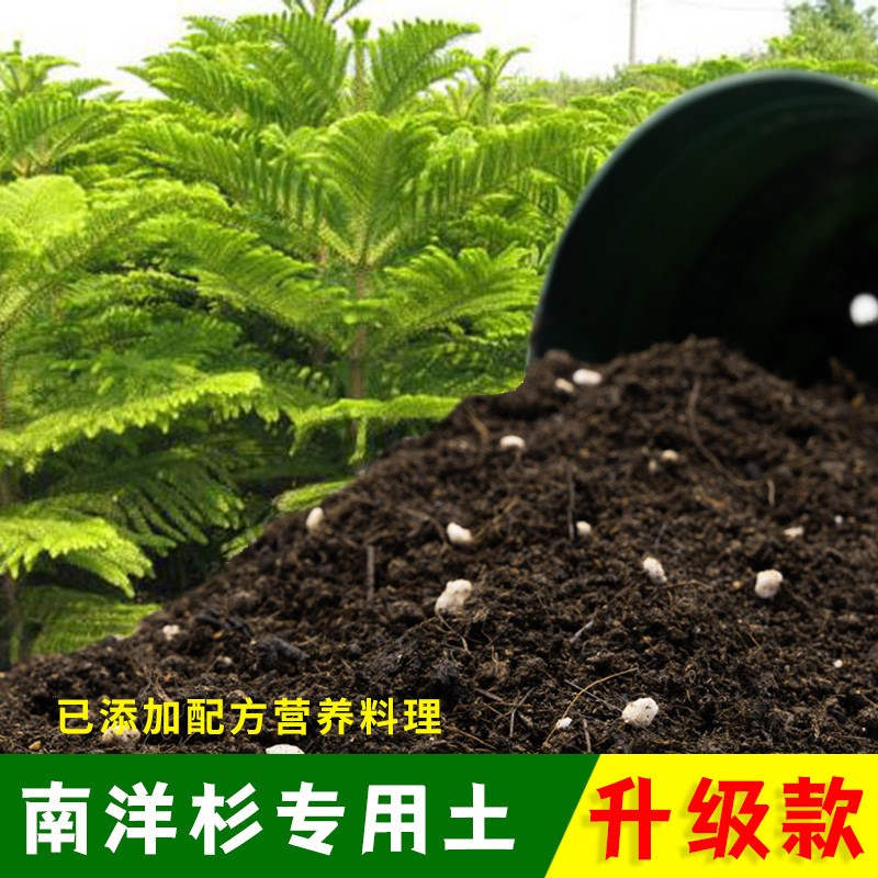 南洋杉专用土有机土肥料家用种植土南洋杉营养土盆栽养花通用包邮