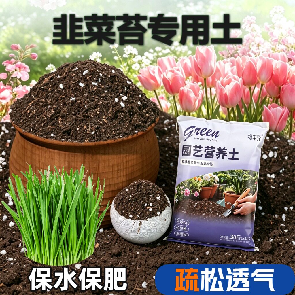韭菜苔适用含泥炭根壮苗好保水保肥盆景加深生根粉进口防黄叶球根