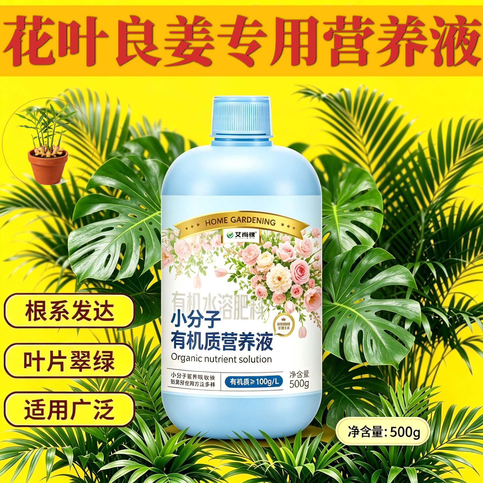 花叶良姜专用有机营养液小分子有机质根叶双补园艺兑水即用家用