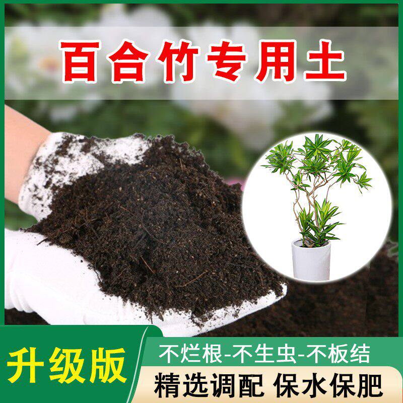 百合竹专用土百合竹营养土家庭盆栽土养花种花土通用种植肥料土壤图片