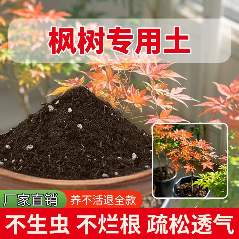 枫树专用土花盆发酵肥料室内养花专用土花卉有机土花土绿植盆栽
