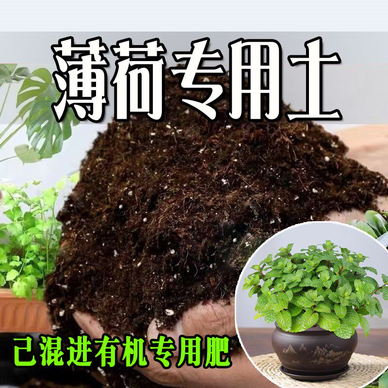 薄荷专用土 疏松透气盆栽绿植专用室内植物营养土有机肥料种植土