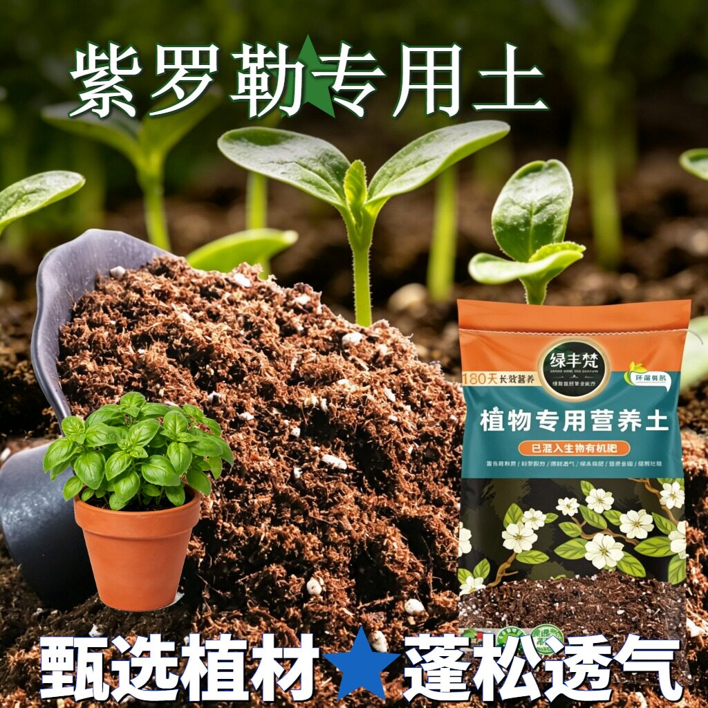 紫罗勒适用基质无尘处理地栽种植土质地松软改善板结实惠装观花