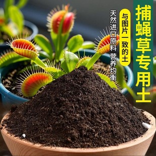 捕蝇草专用土室内养花专用土园艺蓬松透气绿植花盆盆栽土壤阳台