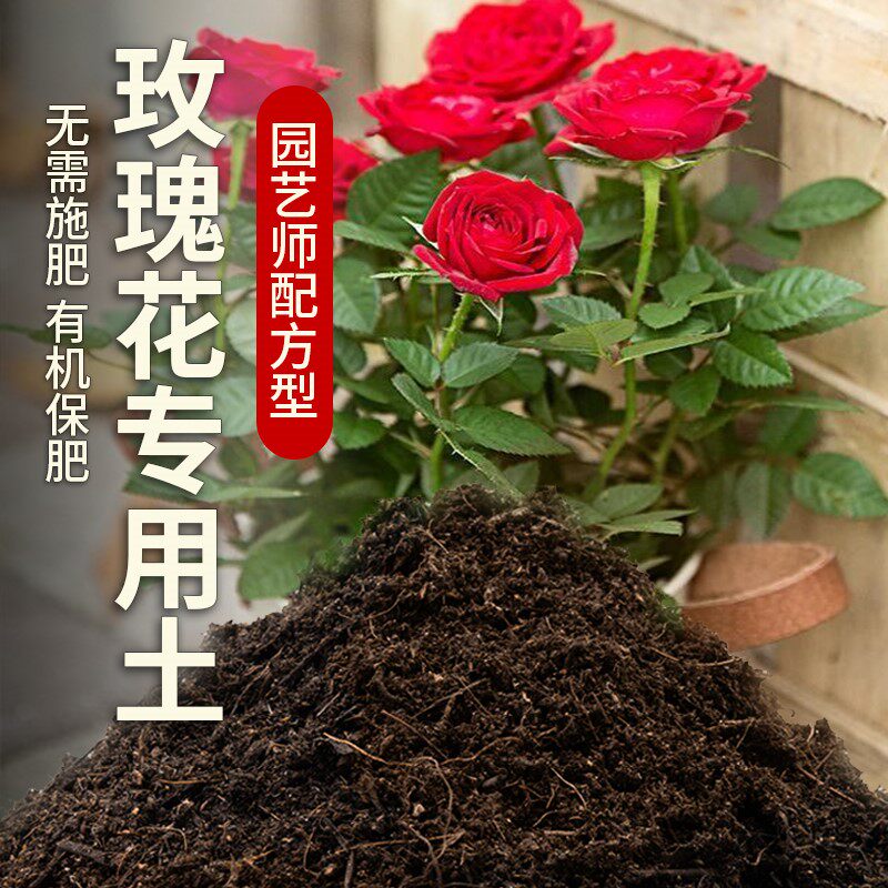 玫瑰花专用营养土盆栽土养花酸性土壤阳台种植土透气玫瑰花专用土