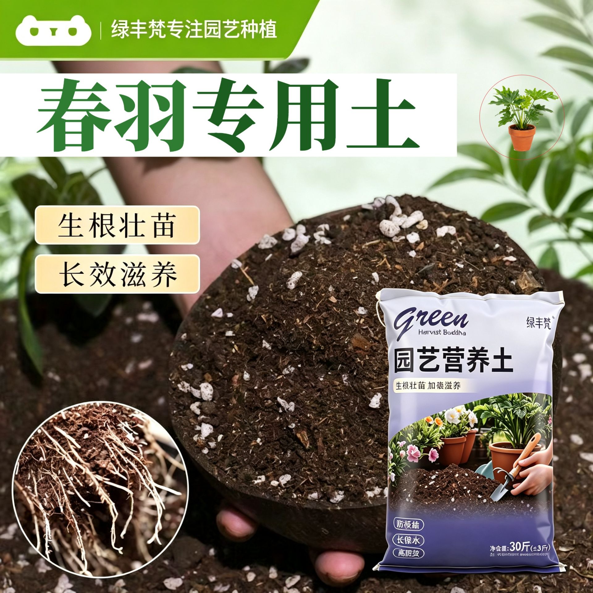 春羽专用轻质土不闷根根壮苗好家庭园艺加有机肥精选绿叶观叶适用