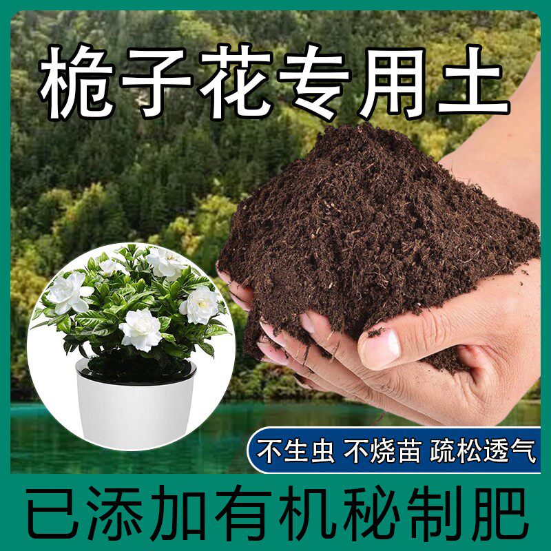 栀子花通用养花土不板结加珍珠岩盆景园艺大包阳台含泥炭花园育苗