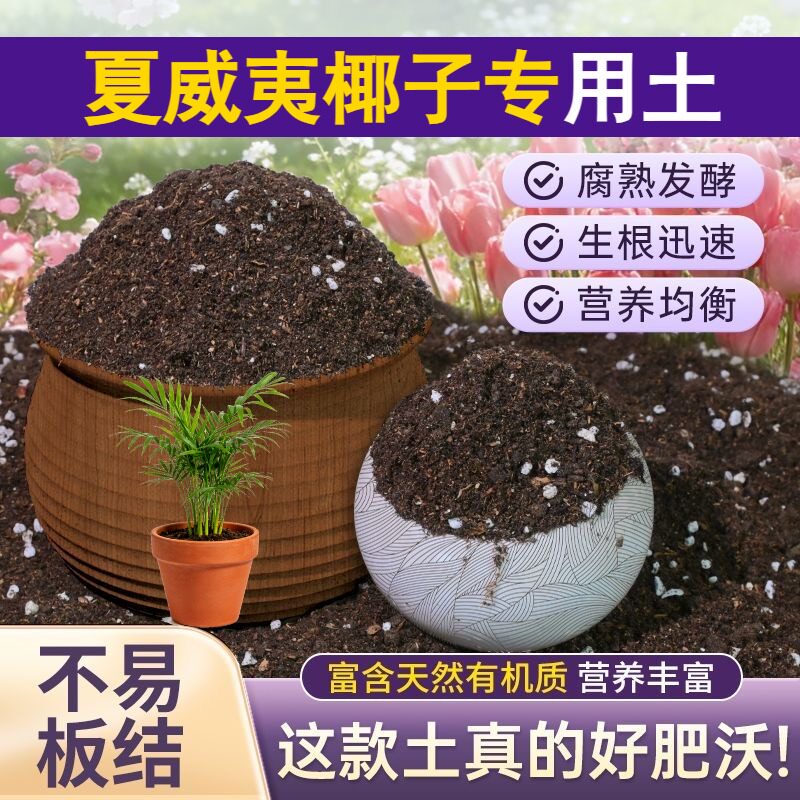 夏威夷椰子专用轻质土保水锁肥盆栽加有机肥天然绿叶球根多肉扦插
