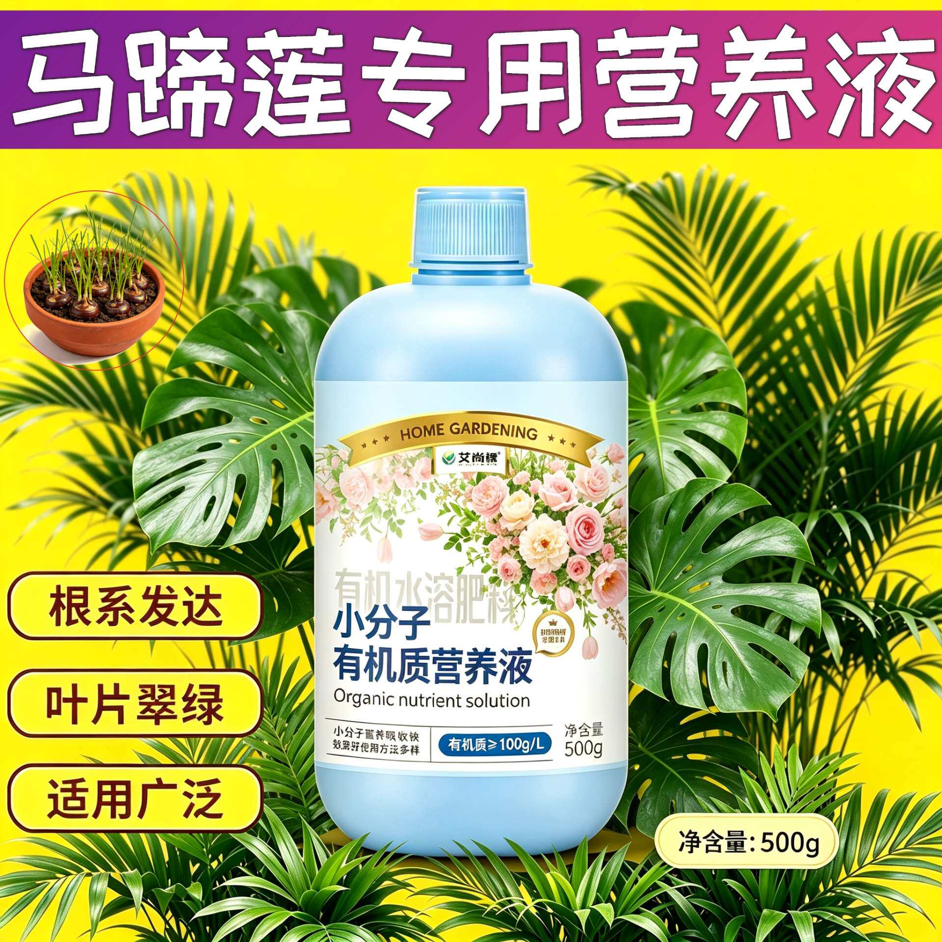 马蹄莲适用水培型营养液小分子有机质浓缩高效盆栽园艺叶绿花艳