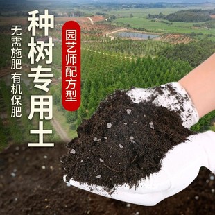 种树专用土肥料农业果树蓬松家用盆栽土壤阳台果苗育苗种树营养土