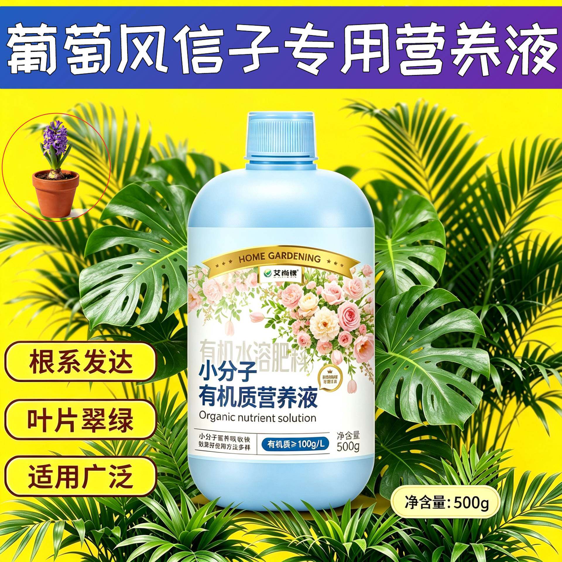 葡萄风信子专用观叶型营养液小分子有机质水溶肥壮根促长家用盆栽