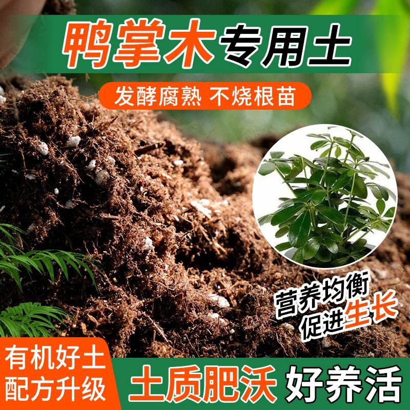 鸭掌木专用土种植士营养土家庭阳台养花盆栽绿植轻质有机肥料土壤