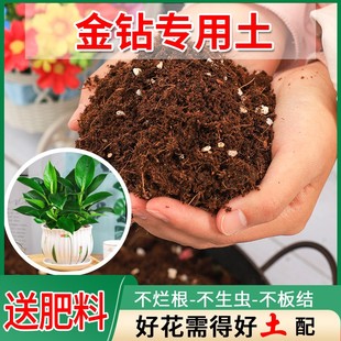 金钻专用土花土种花种绿植土家用多元土养花通用型种植土营养土