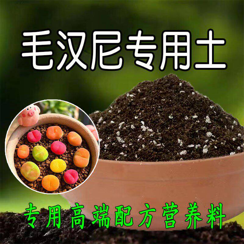 毛汉尼专用土多肉植物颗粒土营养土家用有机盆栽肉肉种花土腐殖土
