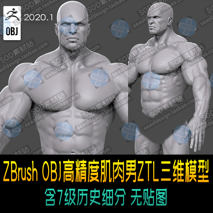 ZBrush OBJ高精度肌肉男ZTL三维模型含7级历史细分无贴图