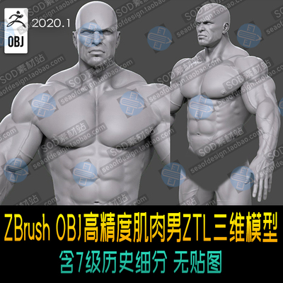 ZBrush OBJ高精度肌肉男ZTL三维模型  含7级历史细分 无贴图