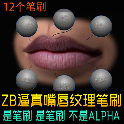 zbrush写实嘴唇皮肤纹理笔刷逼真人体嘴巴皮肤纹理效果 zb笔刷