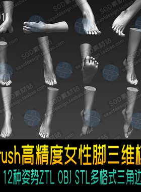ZBrush高精度女性脚12种姿势 ZTL OBJ STL多格式三角边 三维模型