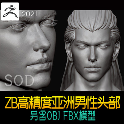 Zbrush高精度亚洲男性头部模型含5个细分级别 含OBJ FBX格式文件