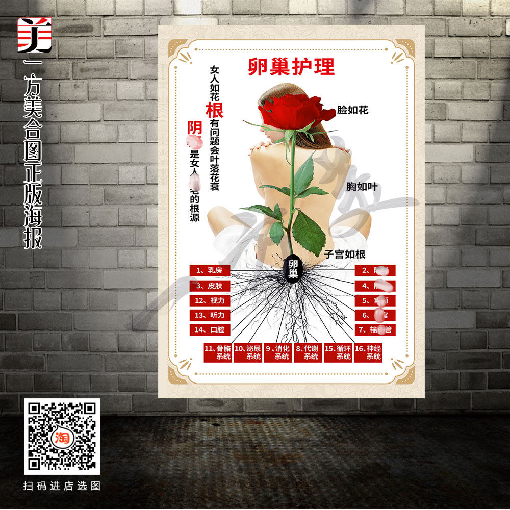 卵巢护理广告宣传画子宫保养图片产后康复卵巢保养海报装饰挂图