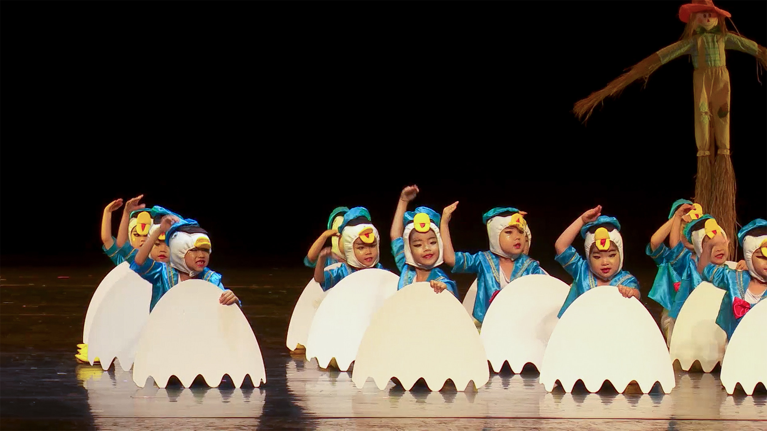 男女鸭子稻田里的小鸭