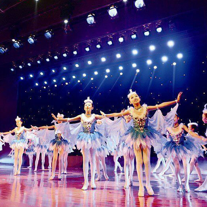 少儿群舞灵燕大赛海鸥飞翔表演服