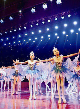 少儿群舞灵燕飞舞舞蹈大赛表演服小燕子飞飞燕飞舞演出服海鸥飞翔