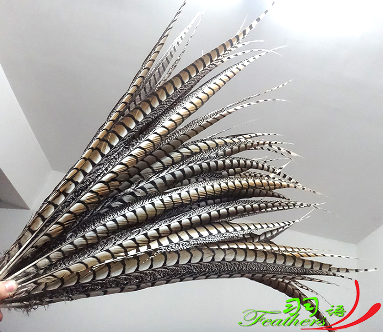 天然羽毛戏曲表演舞蹈翎子