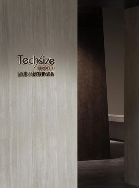 意大利进口岩板客厅地板砖 techsize Neolith 西班牙德赛斯岩板