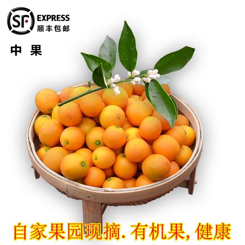 融安金桔甜心新鲜水果顺丰包邮