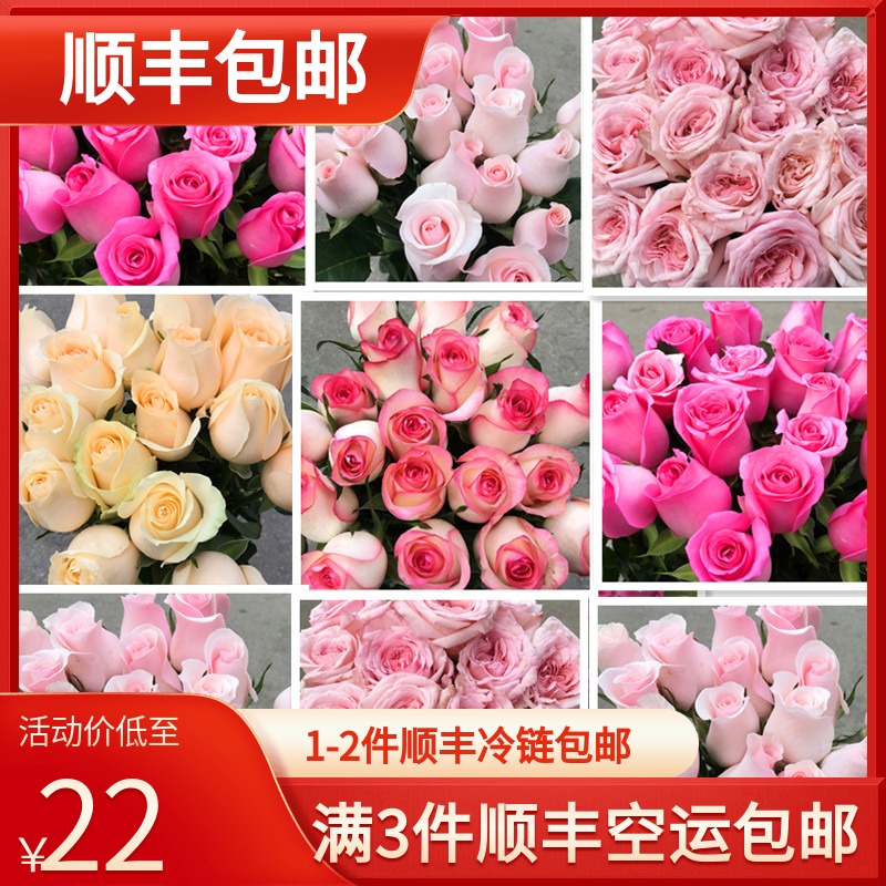 稀有小众鲜花同城送花云南昆明 直批鲜花基地直发玫瑰花速递18支