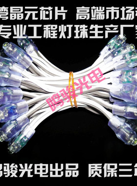 LED外露灯串广告招牌发光字灯珠户外防水穿孔点阵字灯客厅水晶灯