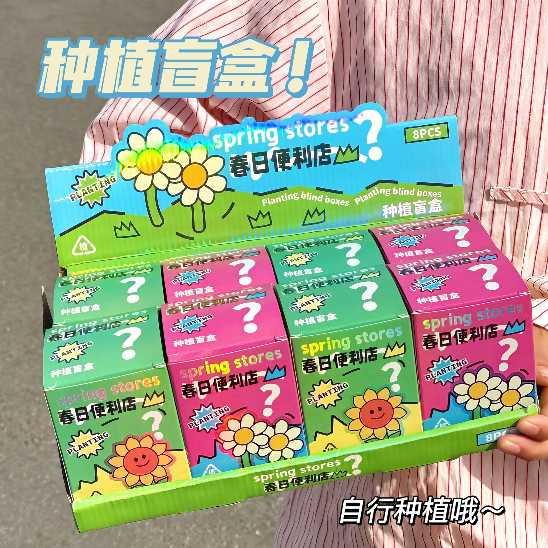创意盆栽盲盒种子学生桌面迷你绿植小盆栽办公桌装饰摆件礼物
