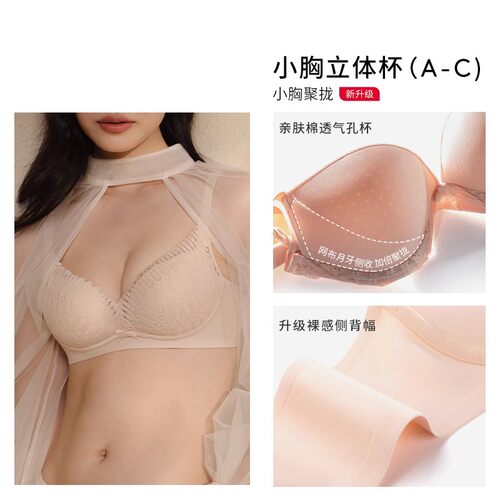 Triumph/黛安芬格蕾丝系列新品文胸女大小胸内衣V227174/V227175