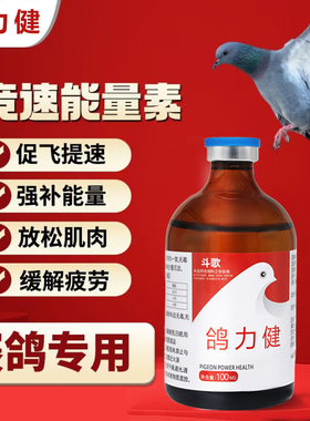 鸽子赛鸽比赛提速超强正品快速恢复体力飞不高飞不久大口呼吸乱落