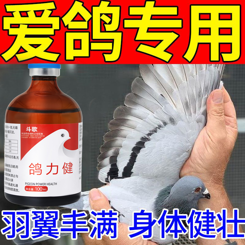 鸽力健比赛期鸽子比赛鸽子飞不高飞提高耐力强身健体加快速度正品